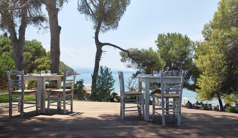 ELIVI -NEST POOL BAR